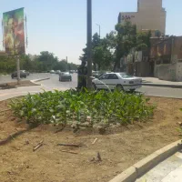 نیروی کار فضای سبز