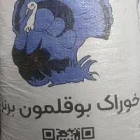 دان بوقلمون