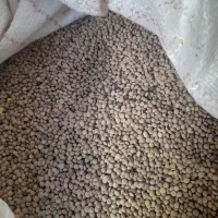 فروش ۳۰۰کیلوعدس بیضا