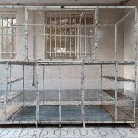 کفتر   قفس
