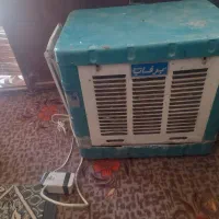 گولرکوچک دسته دو
