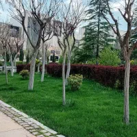 منزل-ویلایی-250-متری-داخل-پژمان-15