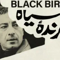 بلیط نمایش پرنده سیاه