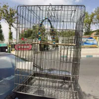 قفس پرنده