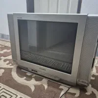 تلویزیون