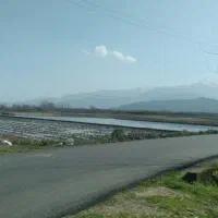 اجاره شبانه