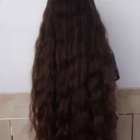 مجموعه خریدار وجمع اوری موهای نچرال