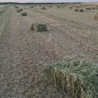 یونجه پرس خالص و خشک