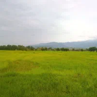 زمین-باغی-مالفجان-معاوظه-با-ماشین