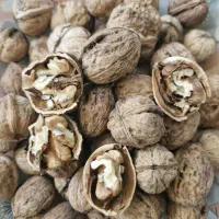 گردو درجه یک