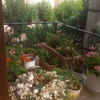جردن 330 متر 4 خواب تکرار نشدنی|اجارهٔ آپارتمان|تهران, جردن|دیوار