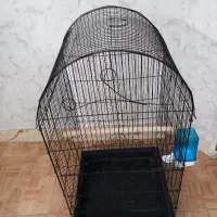 قفس پرندگان