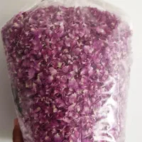 گل محمدی