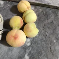 فروش هلو کیلویی ۲۰۰تومن . خودم میچینم میارم