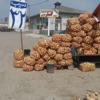 نیروی کار