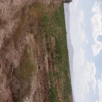 زمین کشاورزی