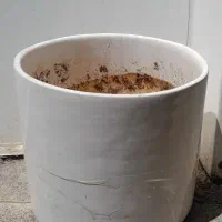 یک عدد گلدون سفید زیبا