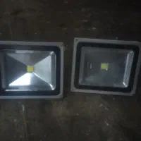 پرژگتور