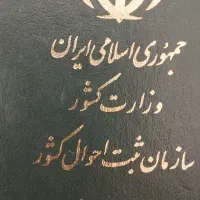 شناسنامه پیدا شده