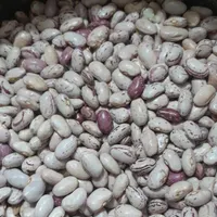 لوبیا خوراک محلی و درجه یک|خوردنی و آشامیدنی|خان ببین, |دیوار