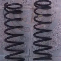 ف ن ر تیبا