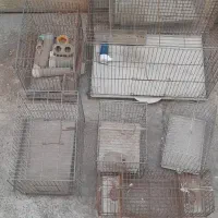 قفس سهره