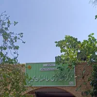 استخدام مربی