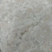 میگو