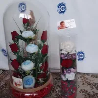 تعدادی گل و گلدان نو و در حد نو