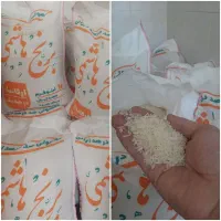فروش باکالابرگ برنج طارم هاشمی کشت دو۱۰کیلوفقط۳۴۸۰