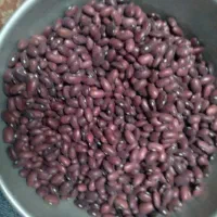 لوبیا قرمز