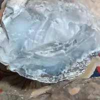عقیق راف سلیمانی