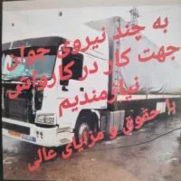 کارگر جهت کار در کارواش