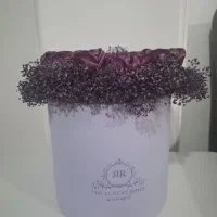 گلدان و گل ربانی