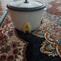 پلوپز برقی