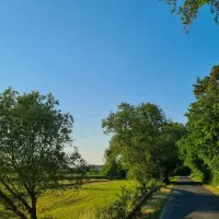 1200meter-باغچه-خود-ملایر
