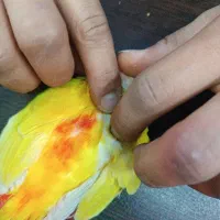 ردچیک ماده
