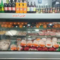 یخچال ویترینی بهترین برند الکترو استیل