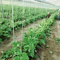 8500مترگلخانه ملک آباده پل دوم هلیل