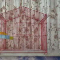 قفس پرنده