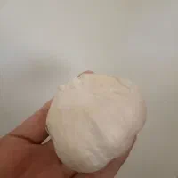 سیر محلی