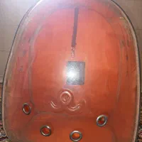 کیف حمل حیوانات خانگی