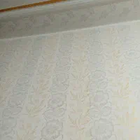 رنگ آمیزی ساختمان