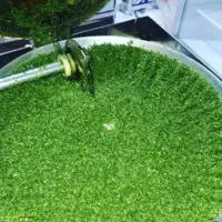 خرد کردن سبزی و سبزی خرد کن