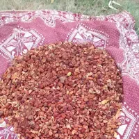 سیب گلاب خشک آفتابی