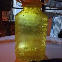 دبه ، سفید ، و زرد دست دوم