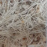 ضایعاتی