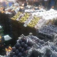 سرای میوه