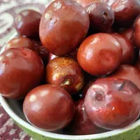 عناب تازه درجه یک