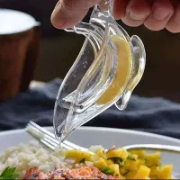 ابلیموگیر شفاف طرح پرنده